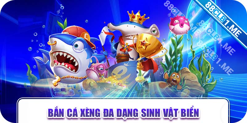 Bắn cá xèng đa dạng sinh vật biển